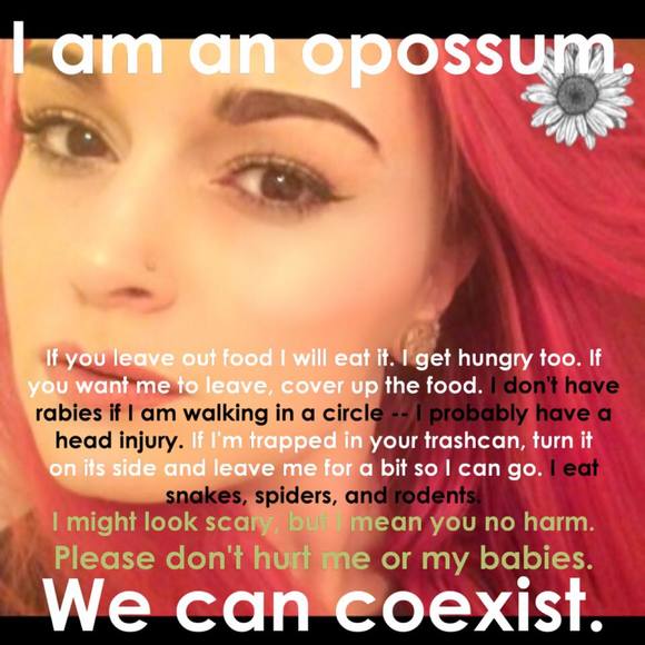 Meet your Posher, Janet - Picture 1 of 1